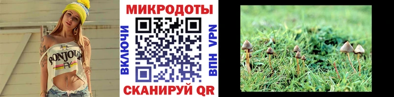 Галлюциногенные грибы Psilocybine cubensis darknet клад Тамбов