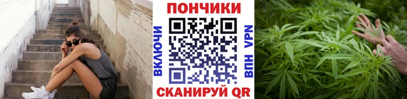 Бошки марихуана AK-47  МЕГА tor  Тамбов 